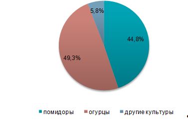 teplica050220132.JPG