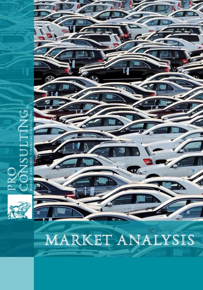 Market research report on cars in Ukraine. 2013