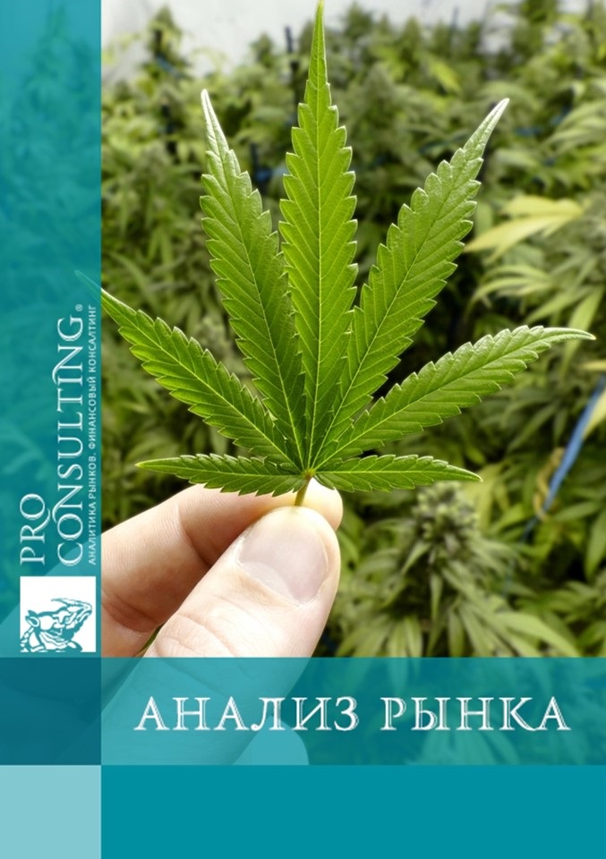 Market research report on medical cannabis in Ukraine. 2023 year