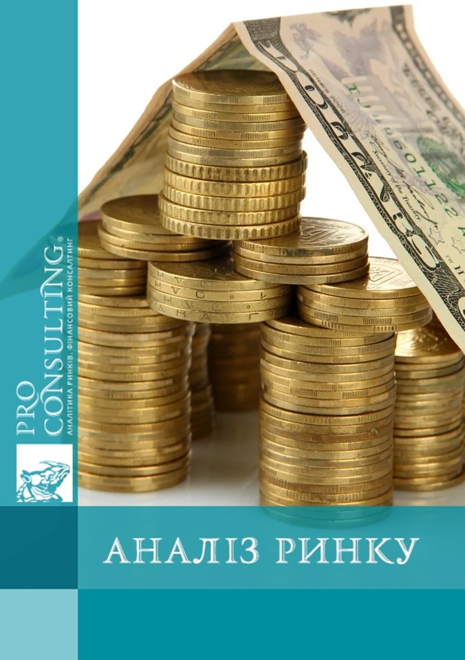 Аналіз оптимального використання активу в Києві. 2019 рік