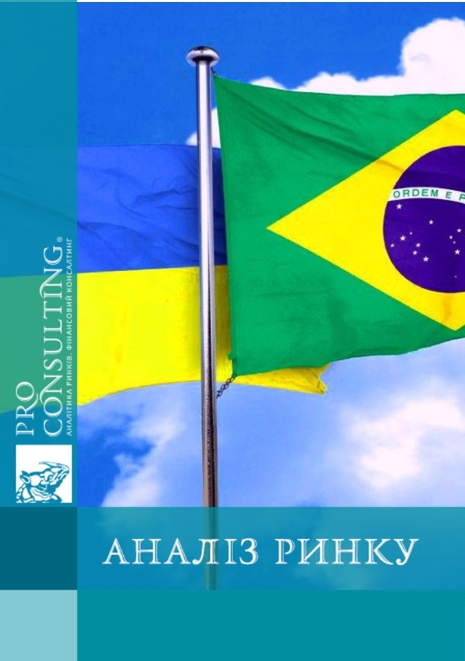 Аналіз перспективних галузей для співпраці між Україною та Бразилією. 2020 рік