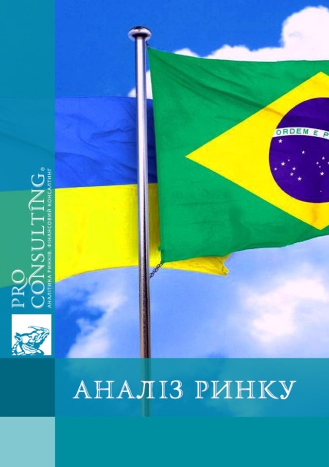 Аналіз ринку послуг перспективних галузей для співпраці між Україною та Бразилією. 2020 рік