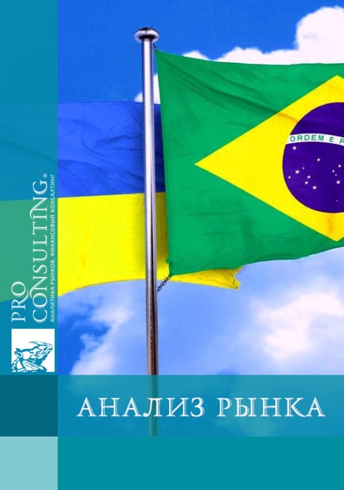 Анализ рынка услуг перспективных отраслей для сотрудничества между Украиной и Бразилией. 2020 год