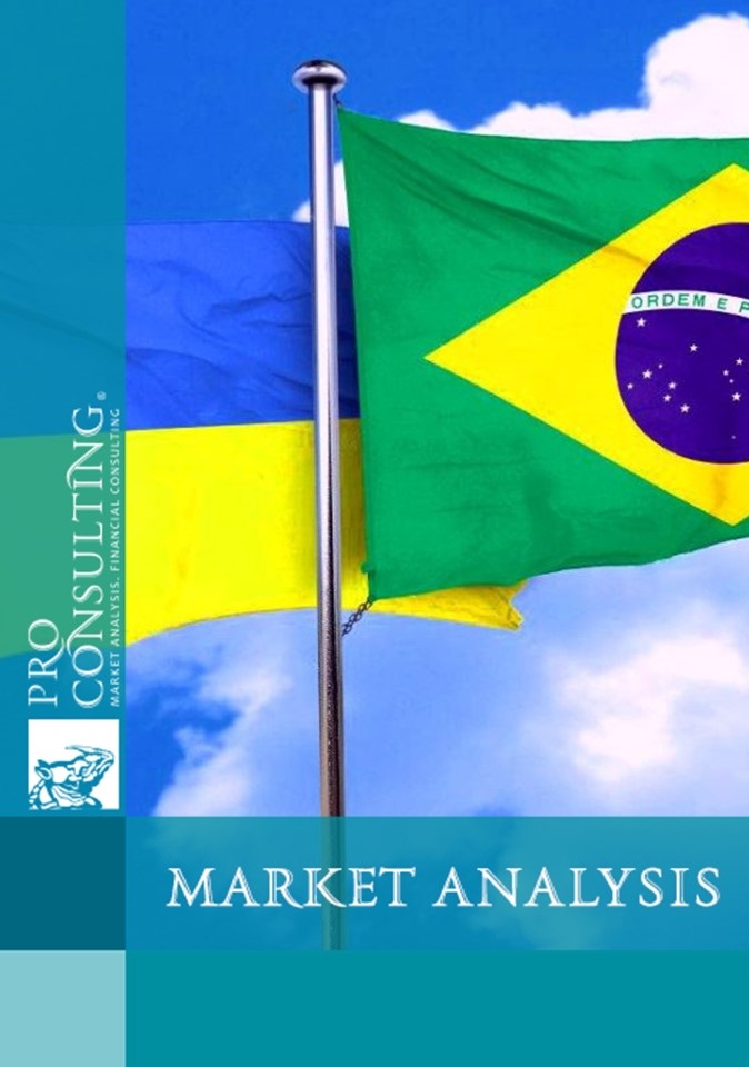 Analysis of the services market of promising industries for cooperation between Ukraine and Brazil. 2020 year