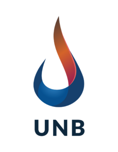 Ukrnaftoburinnya